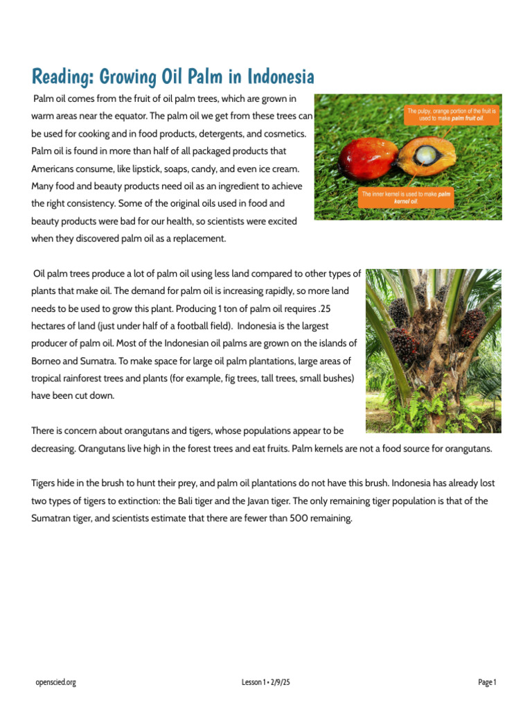 Copy+of+7.5+Lesson+1+Handout+Reading+Growing+Oil | PDF | Palm Oil | Soybean