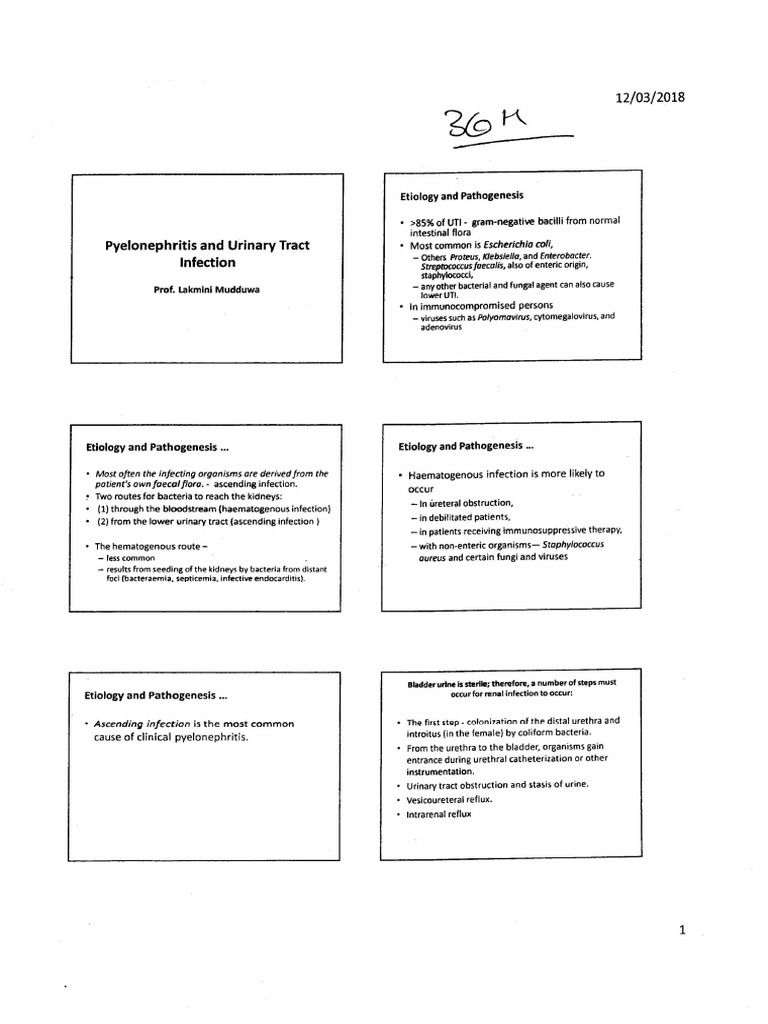 Pyelonephritis & UTI | PDF