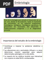 Teoría de la Singamia y Fecundación | PDF | Sexo | Ciencias de la vida