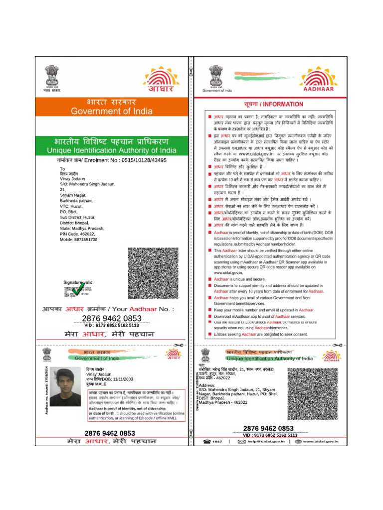 Vinay Jadaun Id Proof | PDF