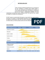 Metodologia Rup