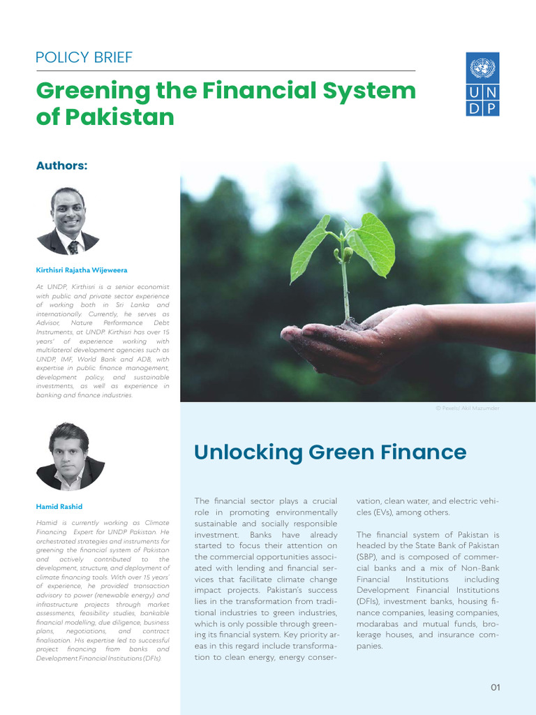 Greening Pakistan's Financial System | PDF | Climate Change Mitigation ...