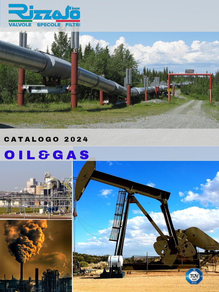 Oilandgas Rizzato Inox | PDF