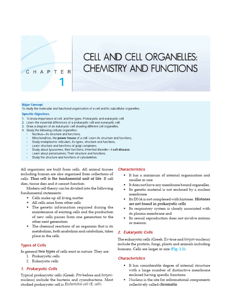 Structure of Cell | PDF | Cell (Biology) | Cell Nucleus