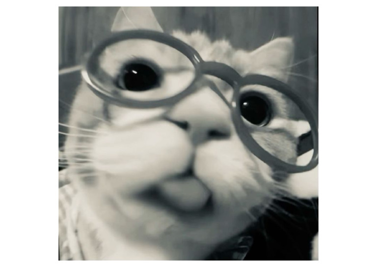Cat? | PDF