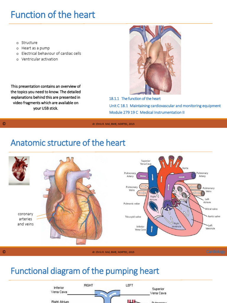 CM Cardio and Monitoring Handout | PDF | Heart | Electrocardiography