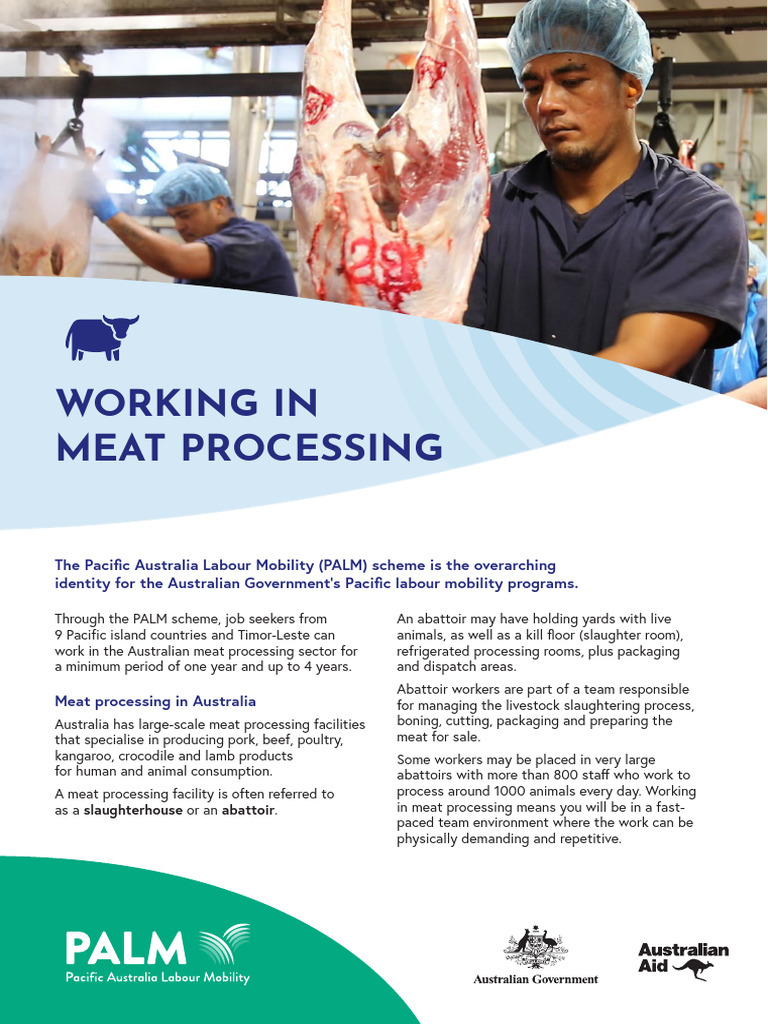 Working in Meat Processing English | PDF | Slaughterhouse | Animal Killing