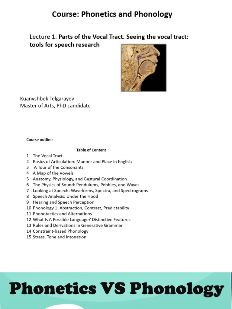 Phonetics and Phonology 20.01 | PDF | Phonetics | Speech