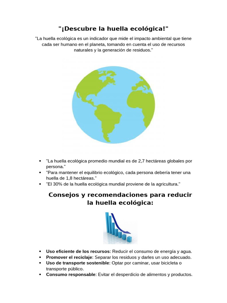 Reduce tu huella ecológica hoy | PDF