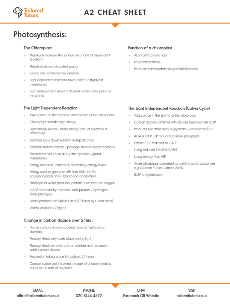TT A Level Cheat Sheet V.01 | PDF | Chemical Synapse | Cellular Respiration