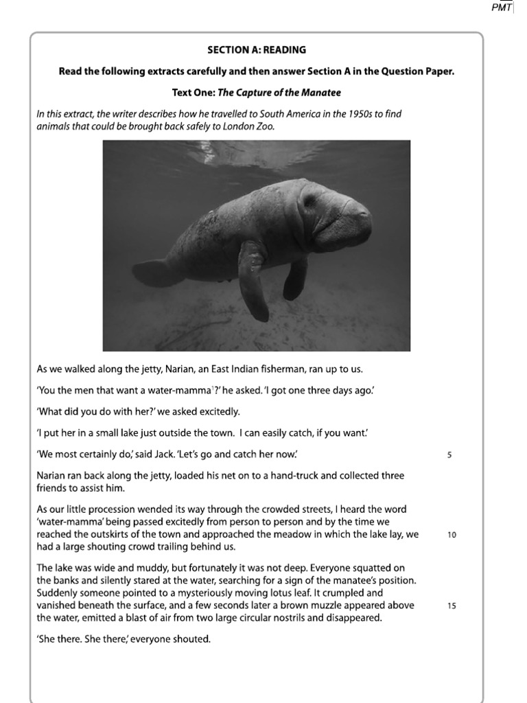 English Insert | PDF