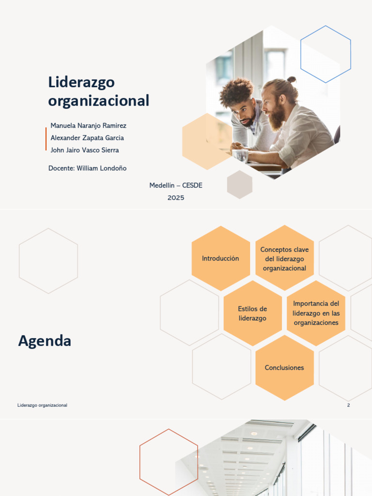 Importancia del Liderazgo Organizacional | PDF | Liderazgo | Negocios ...