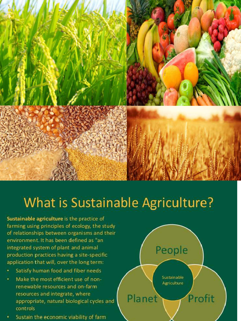 Key Food Crops and Seasons in India | PDF | Plant Nutrition | Irrigation