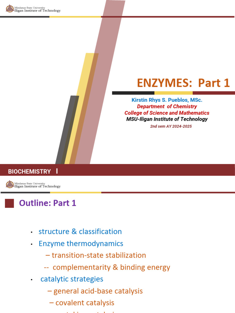 Enzyme Structure and Function Overview | PDF | Enzyme | Enzyme Inhibitor