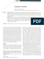 Cefoperazone Sulbactam en RN