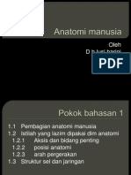 Anatomi Manusia