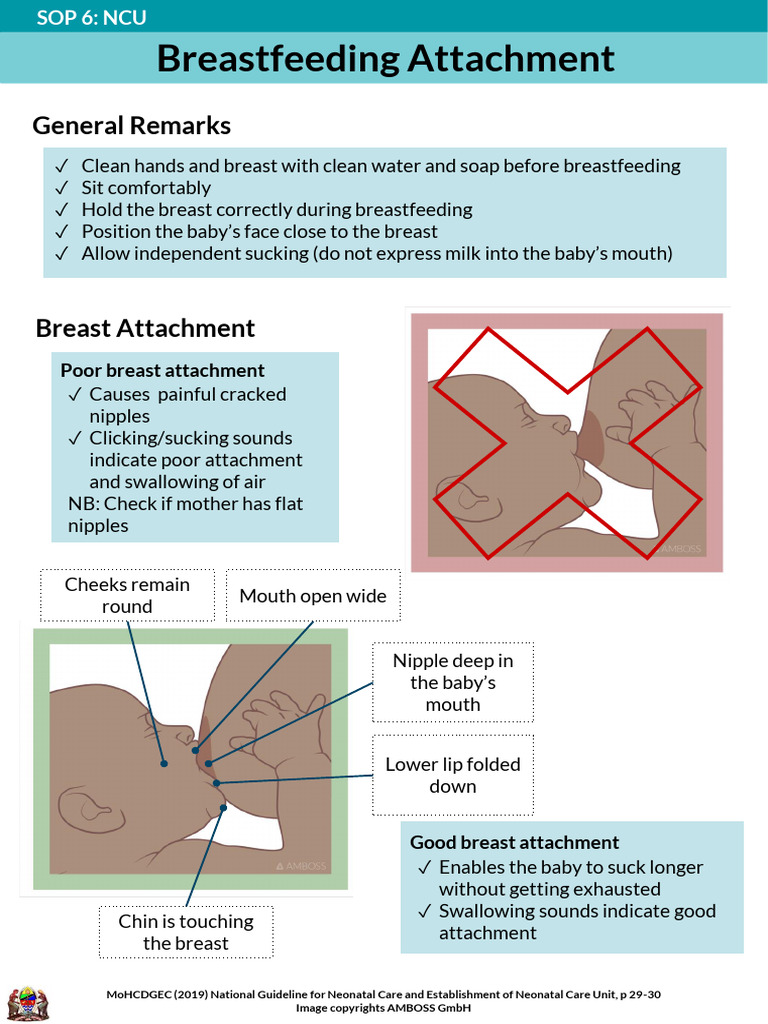 Signs of Good Breastfeeding Attachment | PDF