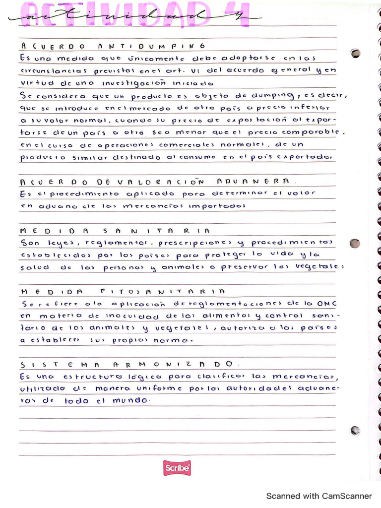 Actividad 4 | PDF