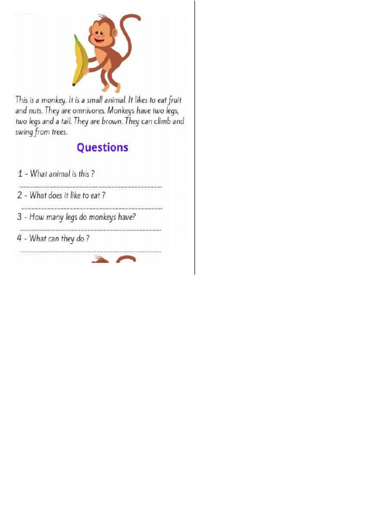 A Monkey | PDF