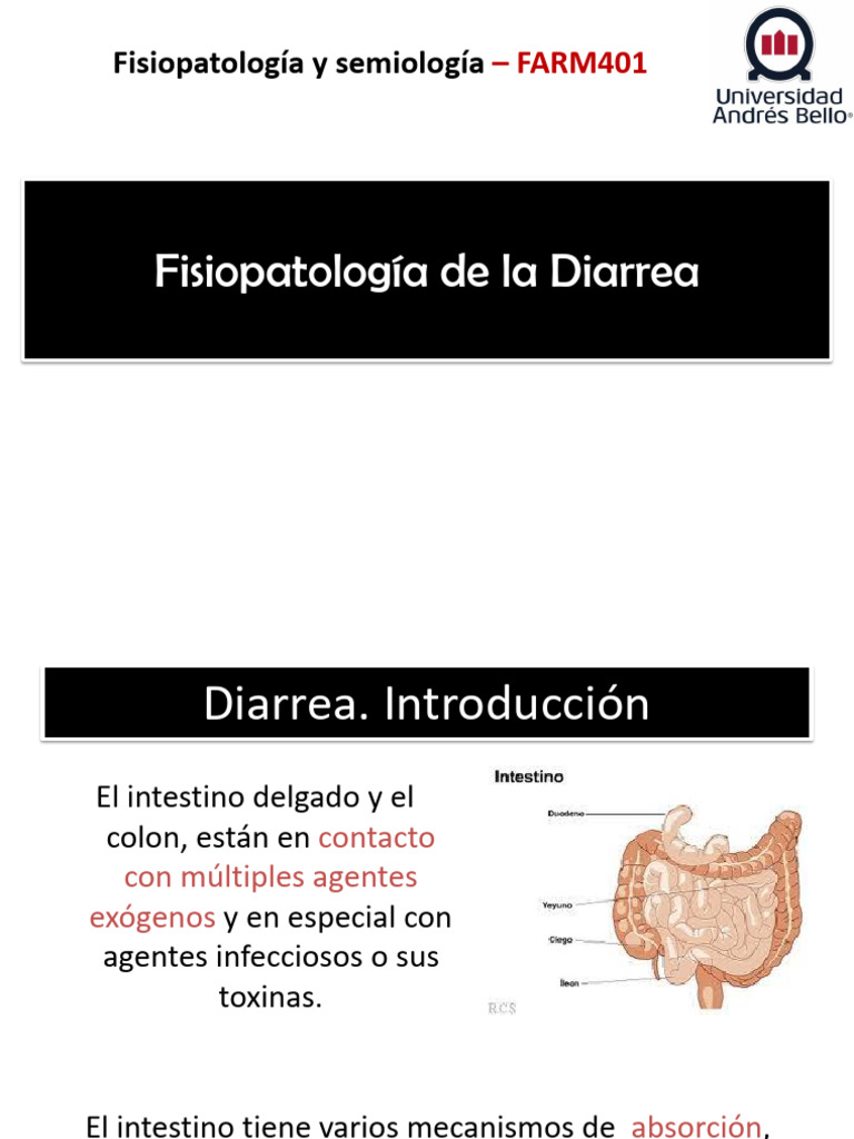 31+Clase+Semana+16+Diarreas PPTX+ | PDF | Diarrea | Inflamación