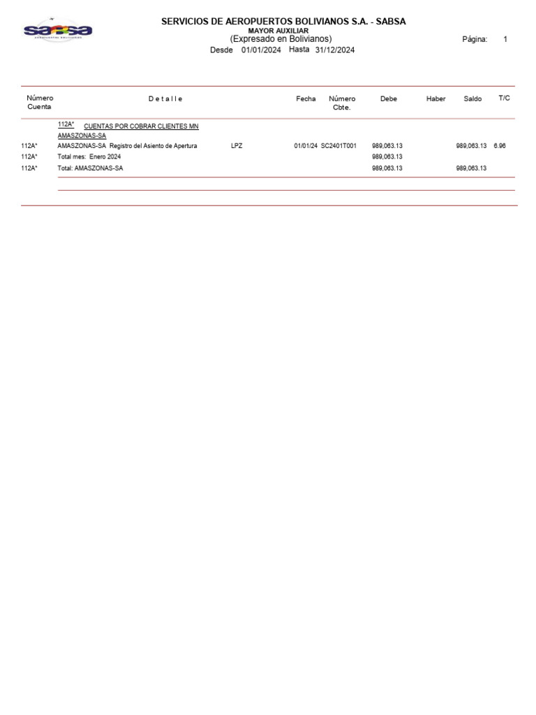 Mayor Contable 31-12-2024 | PDF