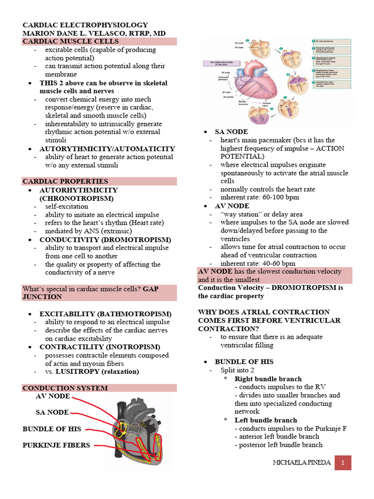 Cardiac Electrophysiology 3RD Lec | PDF | Depolarization | Heart