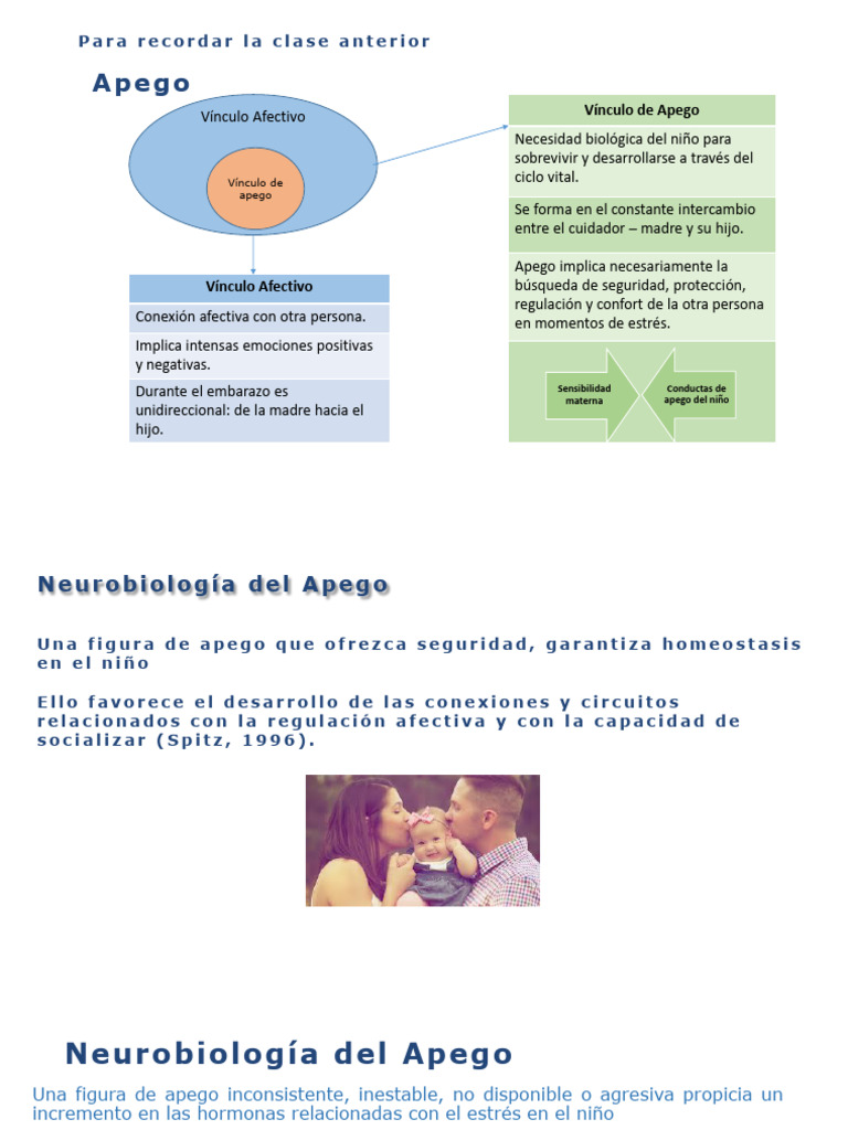 Neurobiología del Apego y Hormonas | PDF | Teoría de apego | Las emociones
