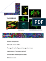 Transgenic Animals AnaNunes