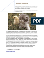 Animales Domésticos