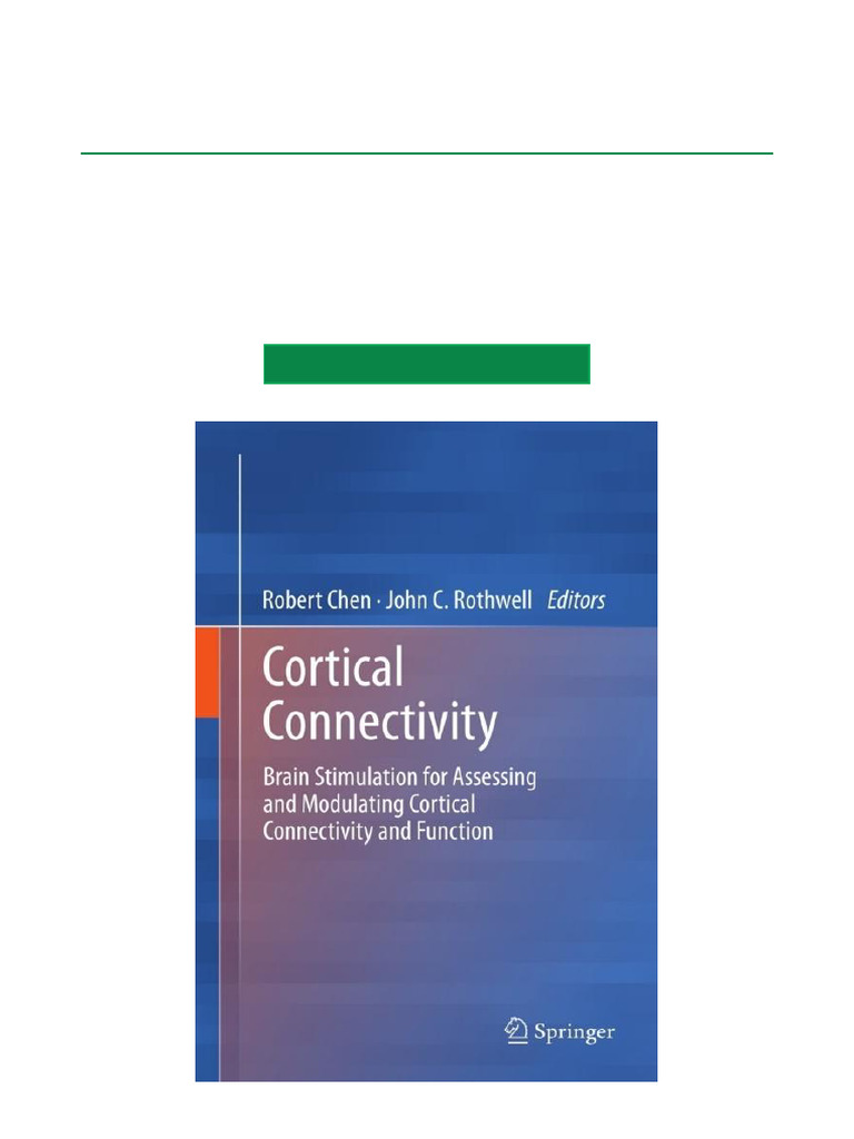 Cortical Connectivity Brain Stimulation For Assessing and Modulating ...