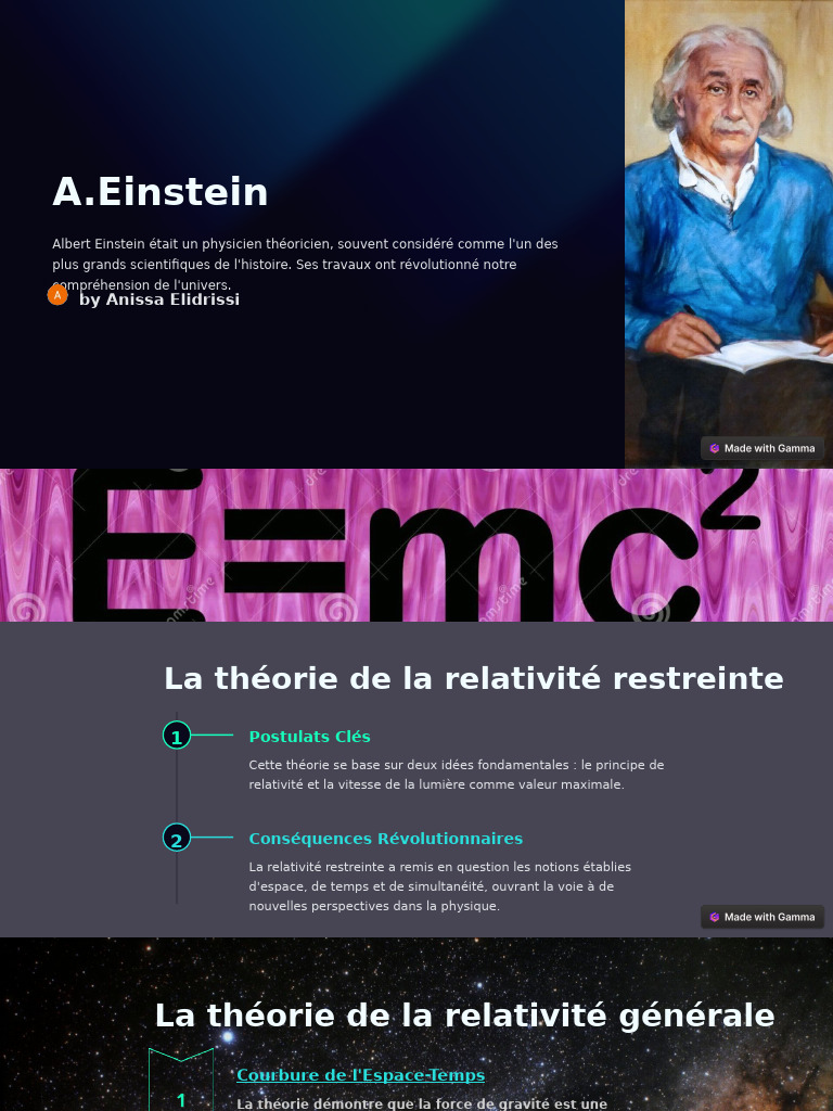 qui-est-einstein-pdf-relativit-g-n-rale-physique