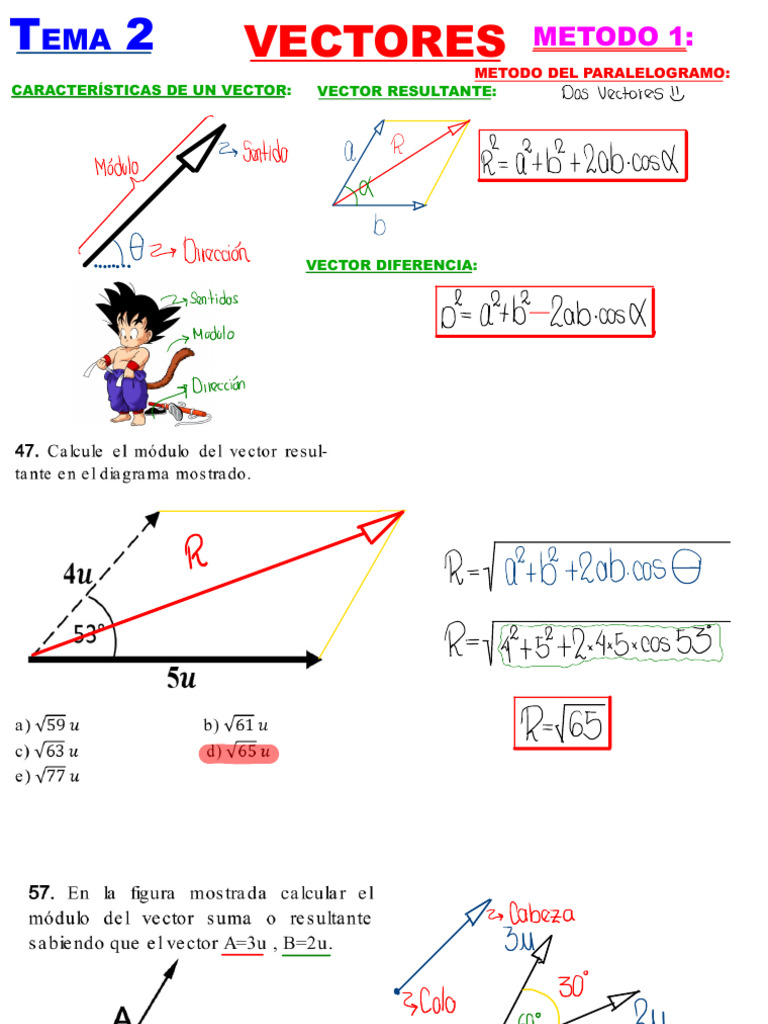 Psa Medicina Tema 2 Vectores Pdf