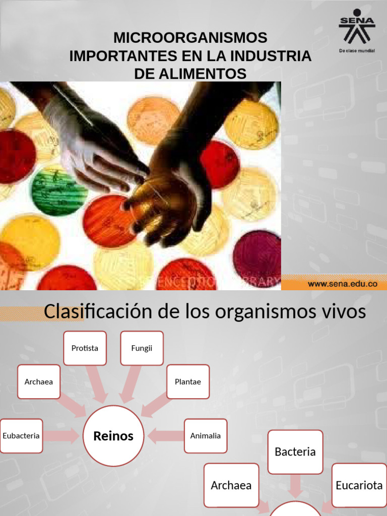 Microbiología de Alimentos 2 | PDF | Las bacterias | Microorganismo