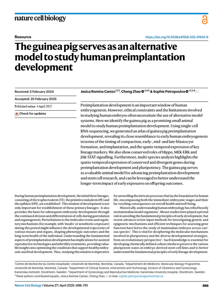 The Guinea Pig Serves As An Alternative Model To Study Human ...