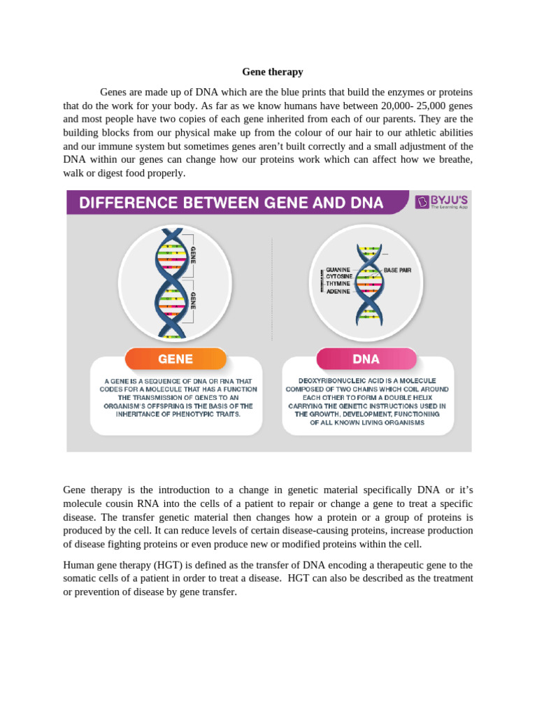 Understanding Gene Therapy Techniques | PDF | Gene Therapy | Gene