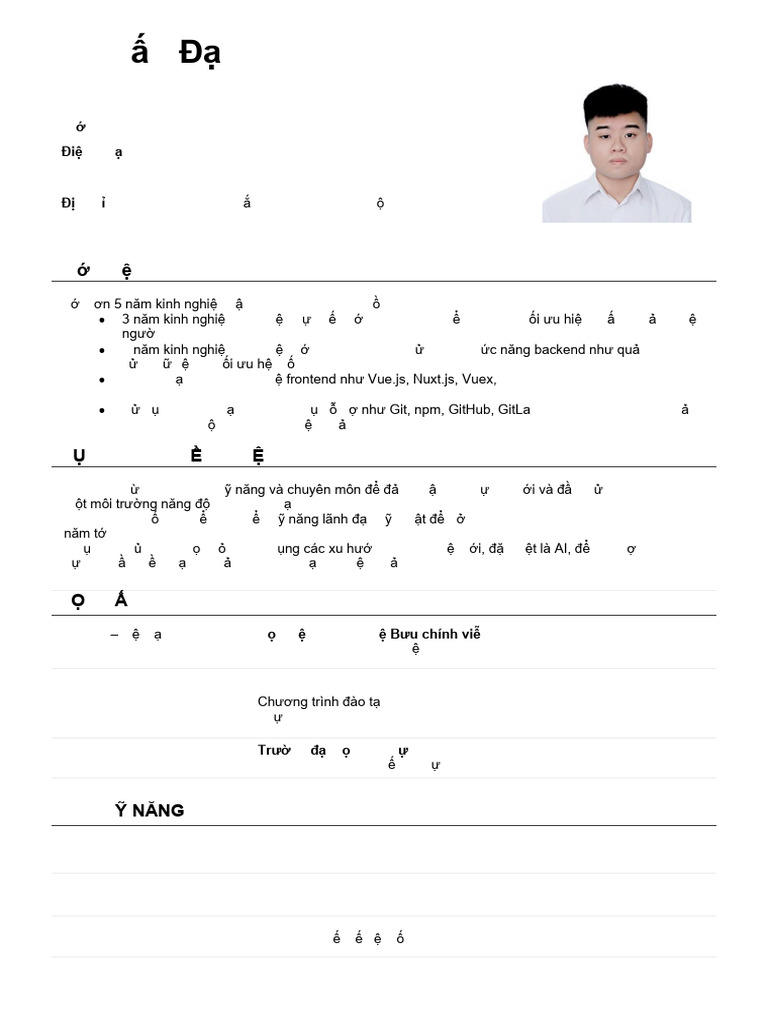 CV Le Tan Dat | PDF