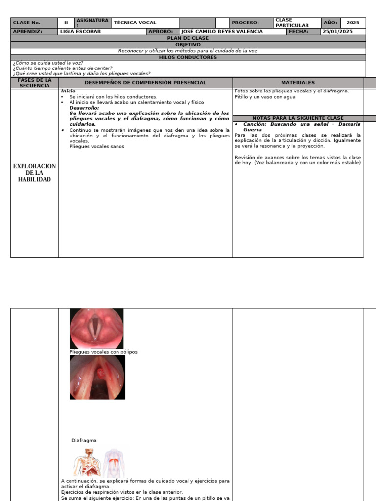 Cuidado de la Voz en Técnica Vocal | PDF