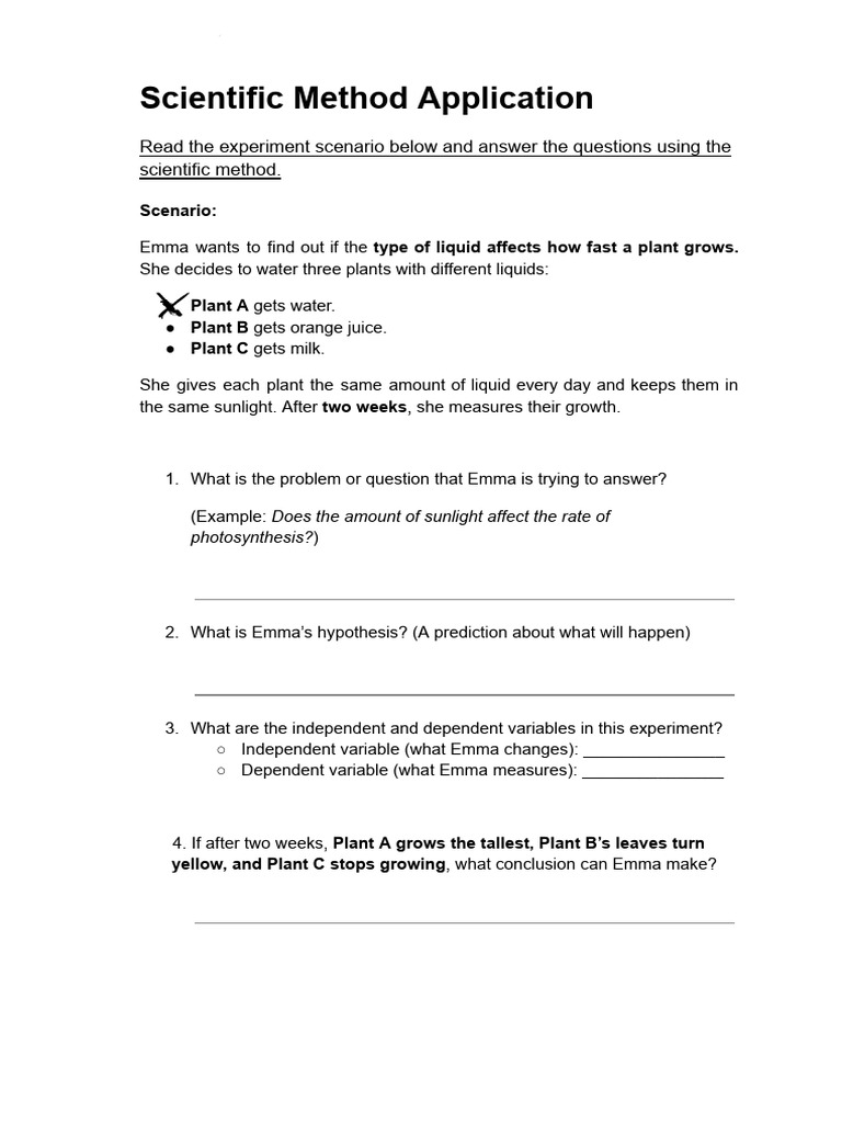 Plant Growth Experiment Analysis | PDF