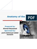 Anatomy of The Eye: Prepared By: Spervised by