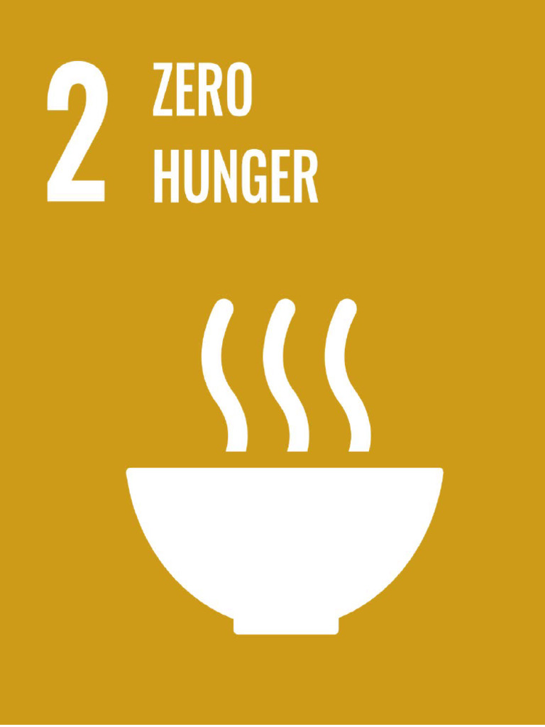 SDG Goal | PDF