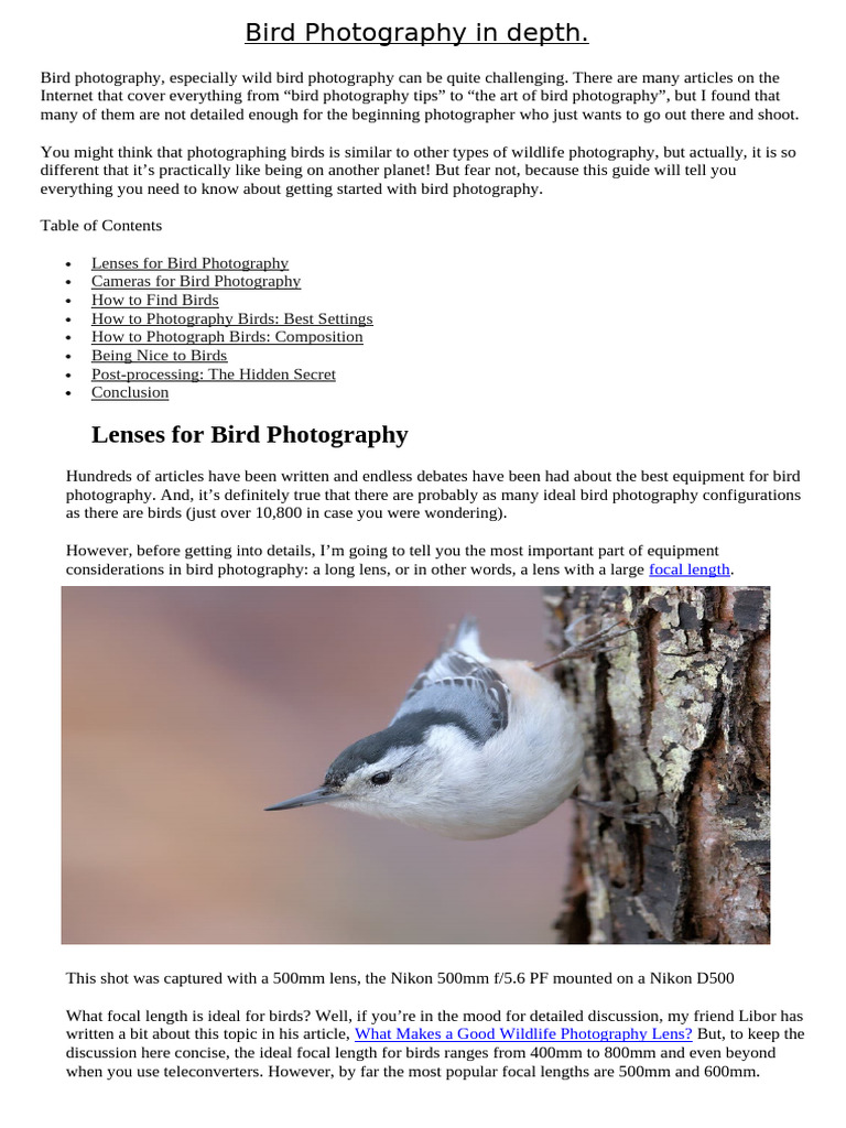 Bird Photography in Depth | PDF | Camera Lens | Zoom Lens