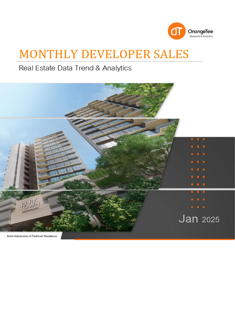 20250217163245-OrangeTee- Developer monthly sales analysis Jan 2025 ...
