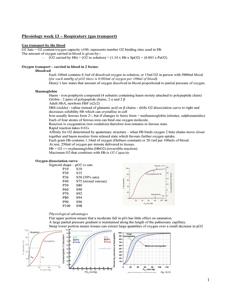 Blood Gas Transport Mechanisms Explained | PDF | Hemoglobin | Carbon ...