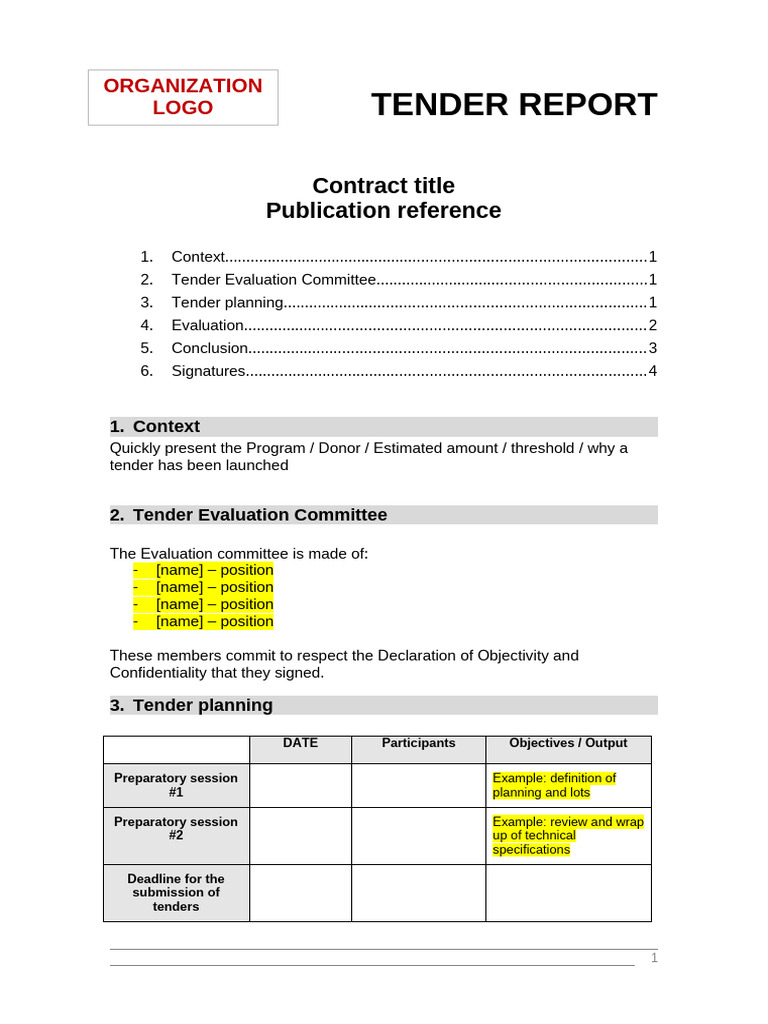 Tender Evaluation Report Overview | PDF