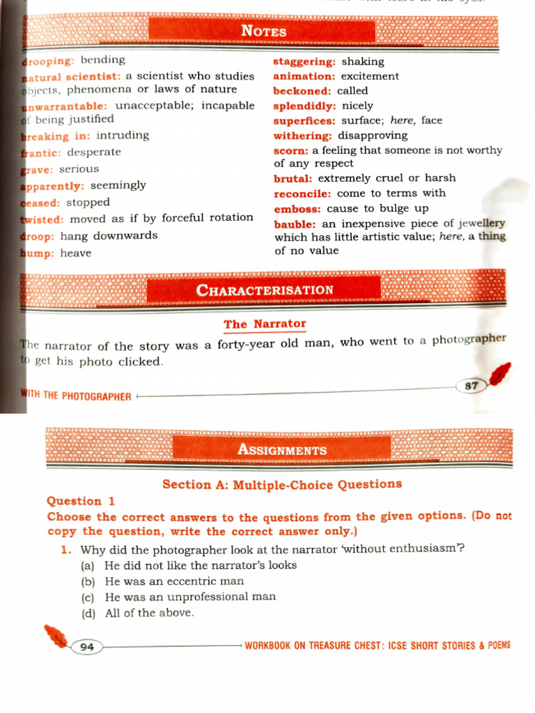 M.C.Q Questions From With The Photographer | PDF
