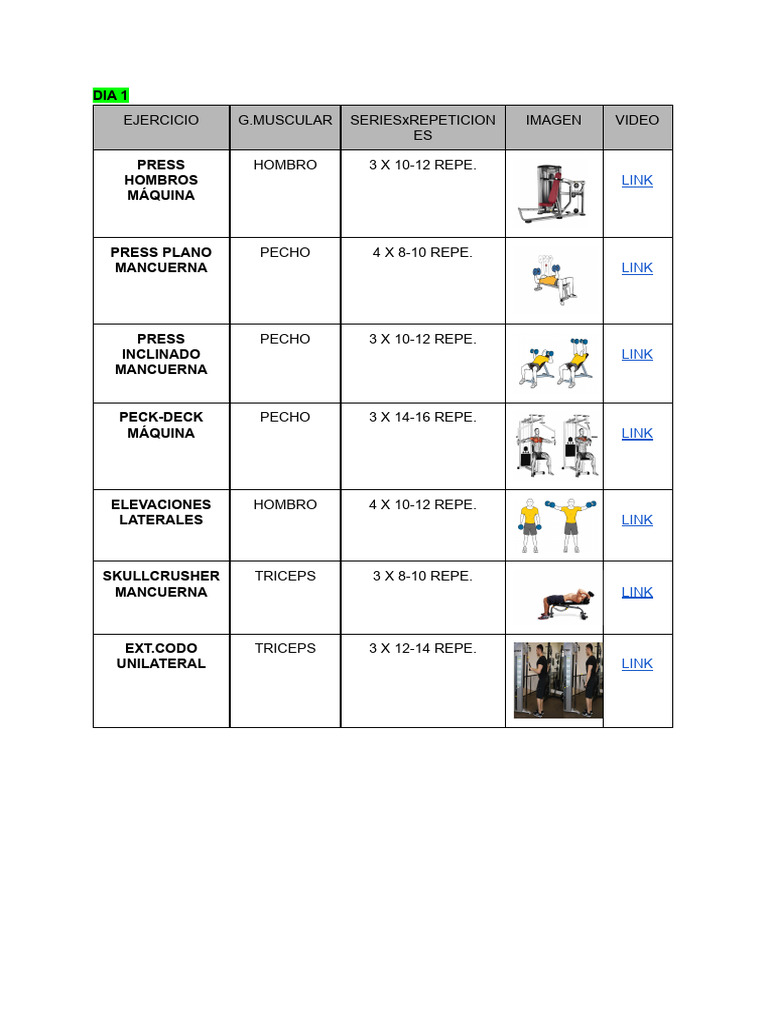 Peck Deck Inverso para Hombros | PDF | Sistema musculoesquelético ...