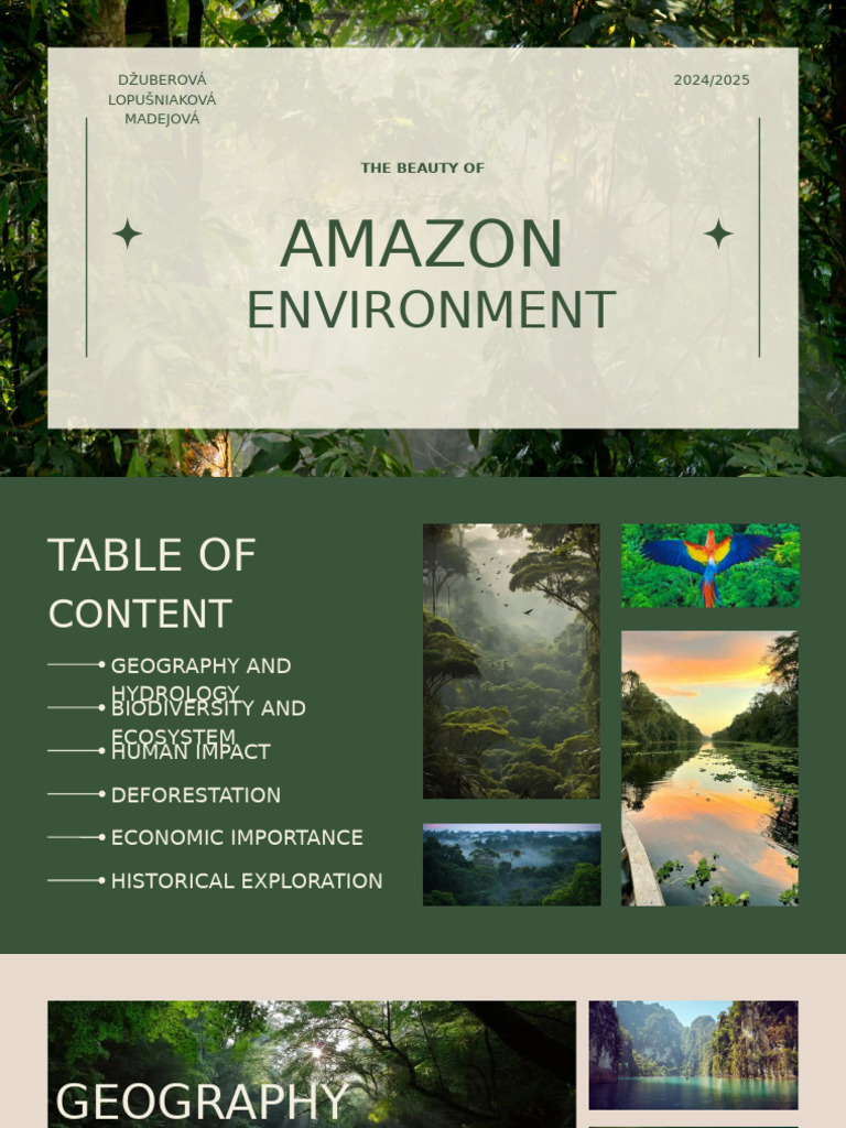 Amazon Rainforest: Biodiversity & Impact | PDF | Amazon Rainforest ...