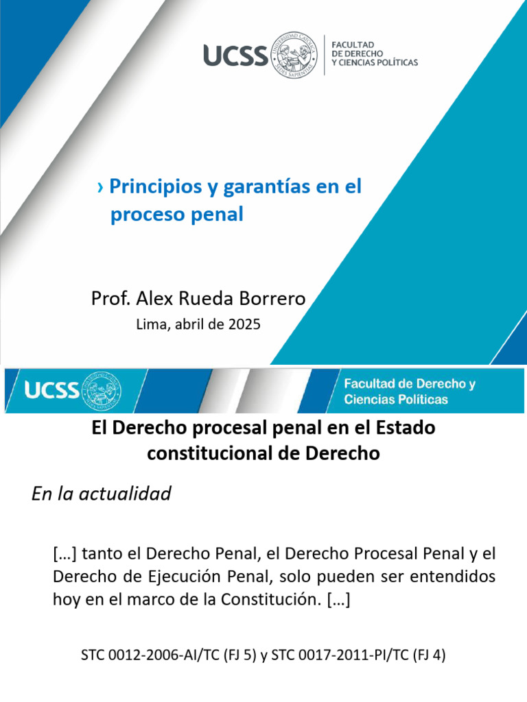 Principios del Proceso Penal en Perú | PDF | Ley procesal | Debido al ...