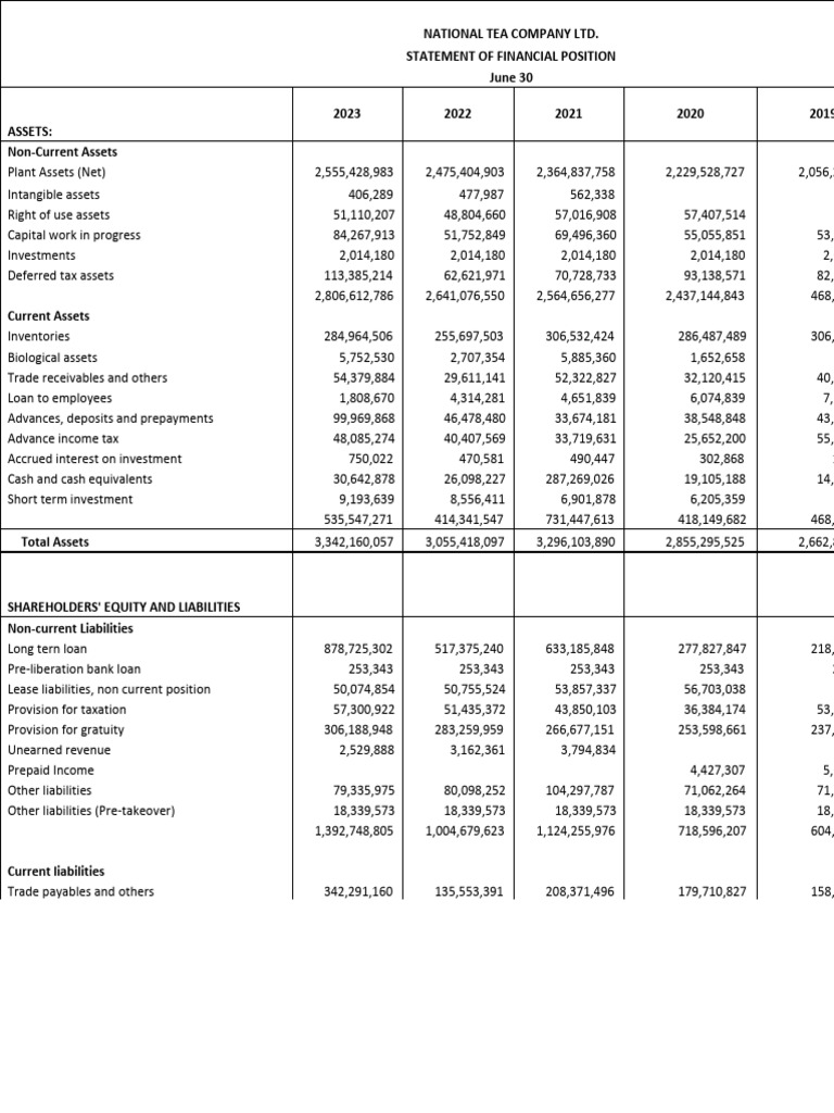 National Tea Company Financial Overview | PDF | Equity (Finance) | Revenue