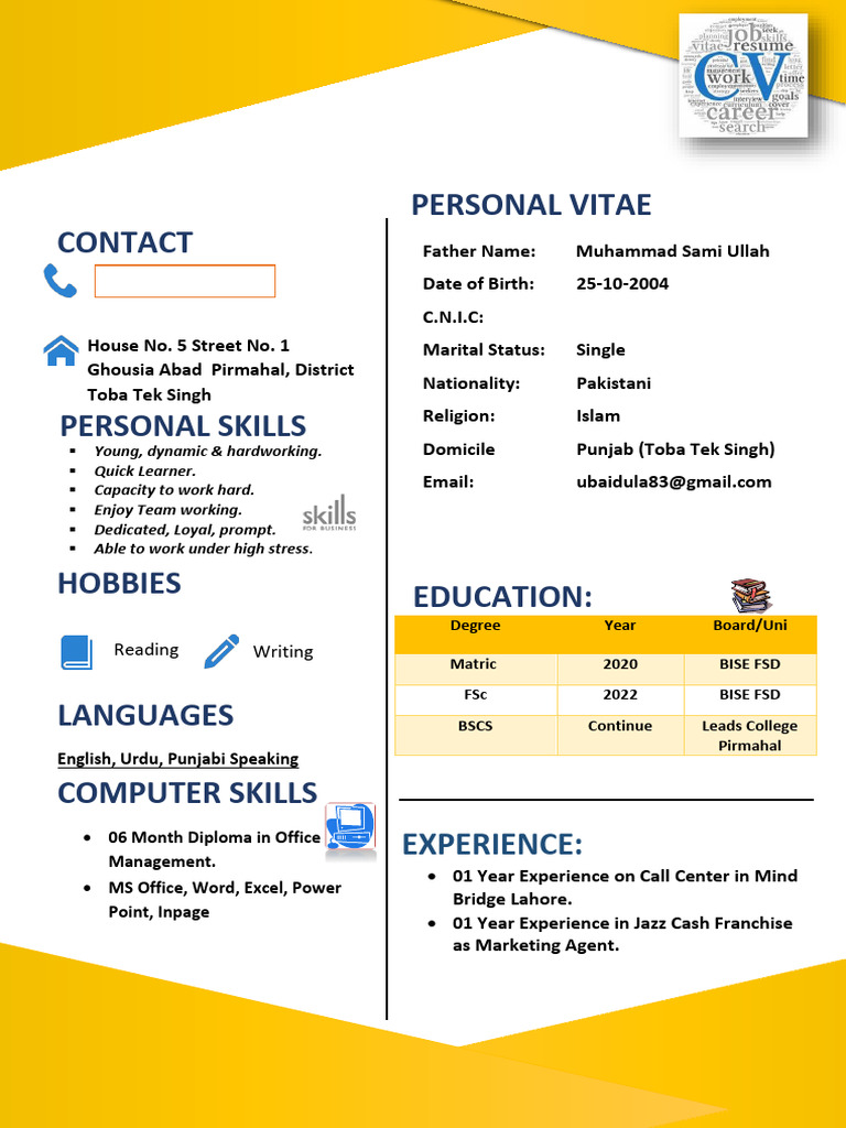 Muahmmad Ubaid Ullah CV | PDF